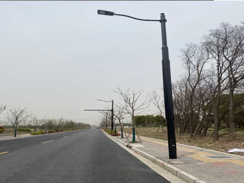 灯塔市上海综合杆 太阳能路灯工程